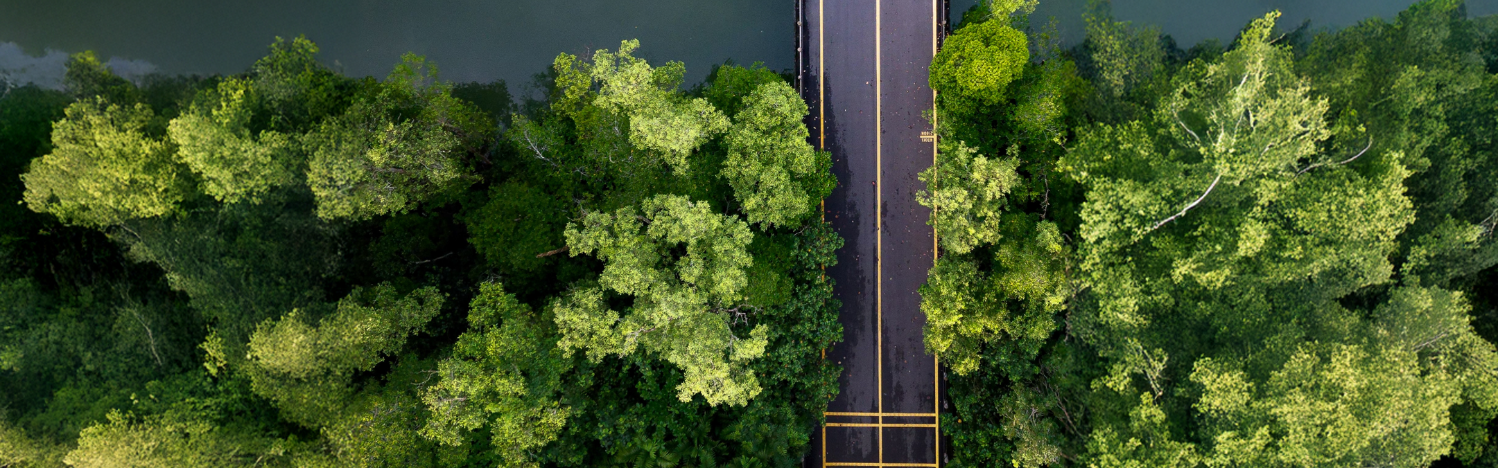 Singapore Green Bond Report for FY2024