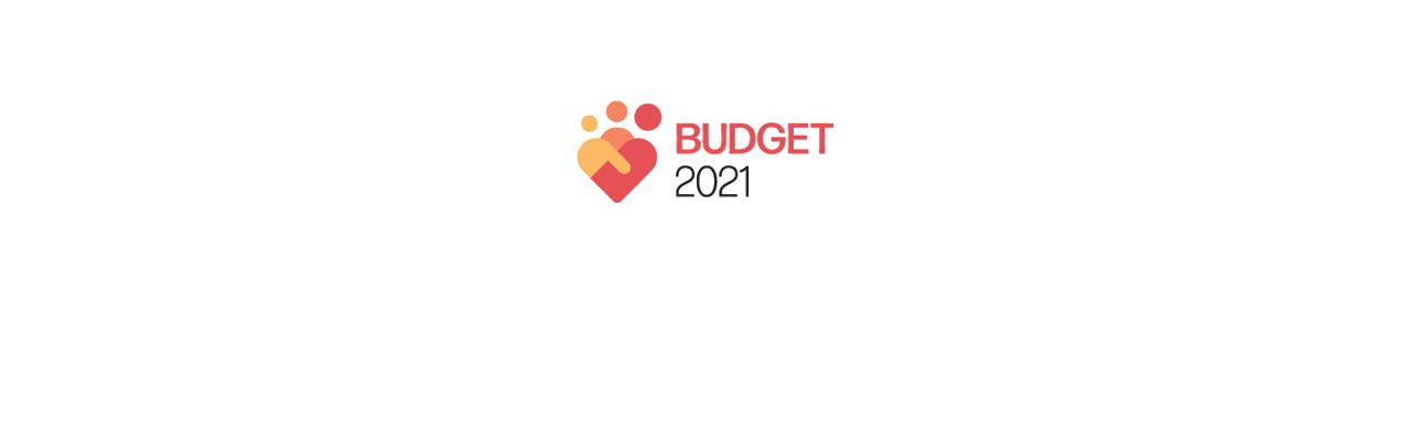 Budget 2021 Statement