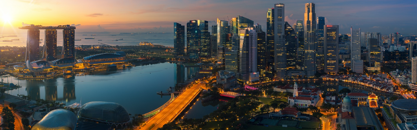 Singapore Public Sector Outcomes Review 2020