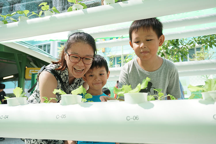 Community planting event at Woodlands Glen (HDB)